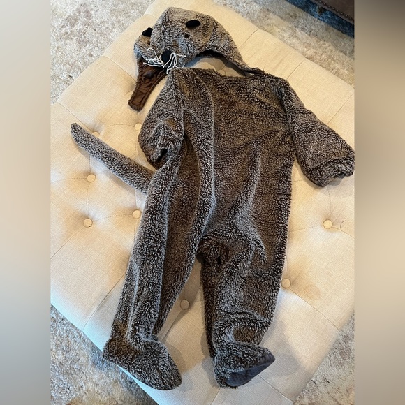 Costumes | Animal Planet Otter Costume | Poshmark